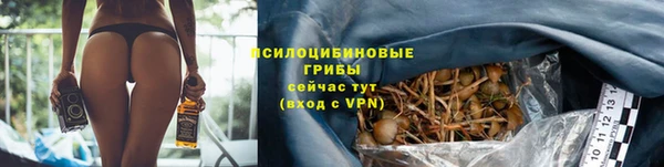 MESCALINE Надым